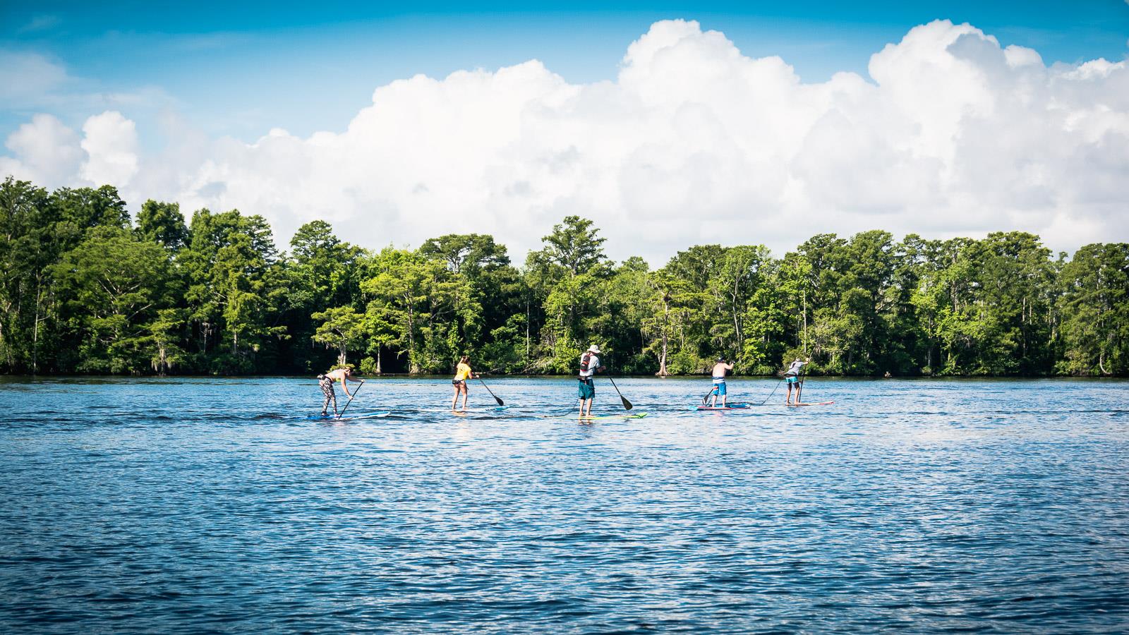 Paddleboarding in Edenton Bay